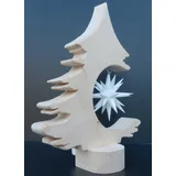 Zirbenholzbaum mit Herrnhuter Stern weiß ca. 38cm hoch