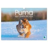 Calvendo Puma: Auf leisen Pfoten (Wandkalender 2026 DIN A3