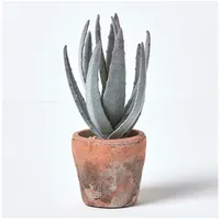 Homescapes Klein Künstliche Echte Aloe Vera in Topf aus