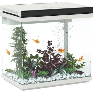 PawHut Aquarium mit Filter, LED-Beleuchtung, Wasserpumpe, für verschiedene Fischarten, ca. 38 x 26 x 38 cm