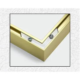 Schipper Alurahmen Quattro 1 St. gold