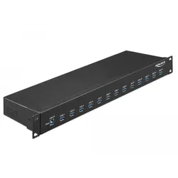 DeLOCK Industrie Hub USB 3.1 Gen 1 Typ-A 19 Zoll