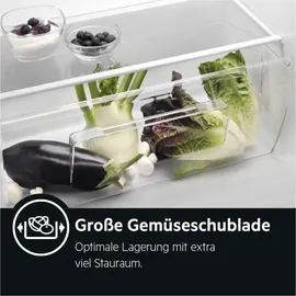 AEG SKE612F1AF Einbaukühlschrank (203 l, 1224 mm hoch)