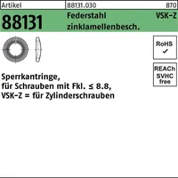 Reyher Sperrkantring R 88131 VSK-Z 20x30,6x4,5 Federstahl zinklamellenb. 100St.