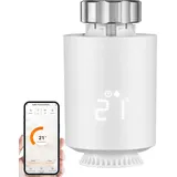 Echos Eco-4160 Heizkörperthermostat Zigbee