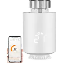 Echos Eco-4160 Heizkörperthermostat Zigbee