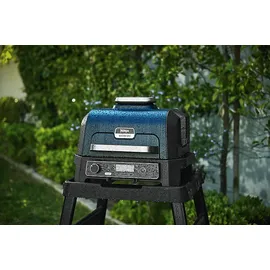 Ninja Woodfire Pro XL OG850EU