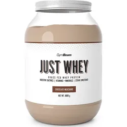 GymBeam Just Whey Molkenprotein mit Verdauungsenzymen Geschmack Chocolate Milkshake 1000 g