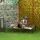 PawHut Hundesofa rund 100 x 100 cm braun