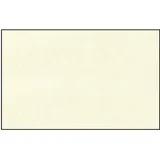 Buntpapierfabrik Ludwig Bähr Elefantenhaut 110g/qm A4 VE=50 Blatt weiß