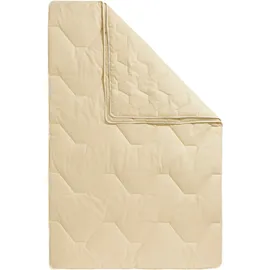 OTTO home Naturfaserbettdecke OTTO HOME "Baumwolle 60 C, Bettdecke 135x200 cm, 155x220 cm, 200x200 cm", beige (natur), B:135cm L:200cm, Bezug: 100% Baumwolle. Füllung: 100% Baumwolle, Bettdecken, Bettdecken, Sommer, Winter, 4 Jahreszeiten, Decke, Made in Germany