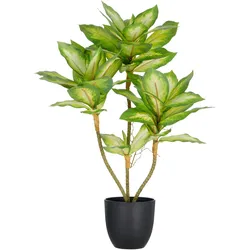 Kunstpflanze CREATIV GREEN "Dieffenbachia", grün, H:65cm, Kunststoff, Kunstpflanzen, mit Luftwurzeln