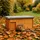 Relaxdays Igelhaus, Bausatz, Igelbau mit Boden, Rattenklappe & Labyrintheingang, Holz, HxBxT: 21 x 46 x 34 cm, orange
