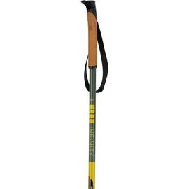 Swix Infinity Basic Alu Pole