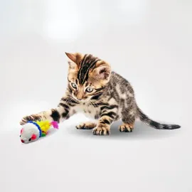 Lyra Pet Spielmäuse mehrfarbig