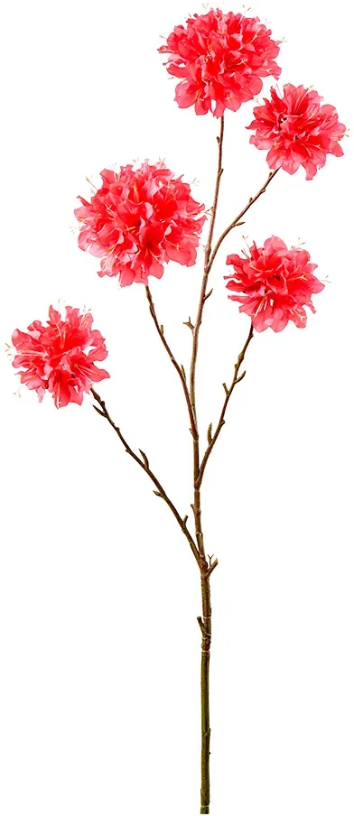 Trompeten Zweig 115cm Tabebuia pink