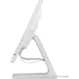 Iiyama Prolite T2452MSC-W2AG 24"