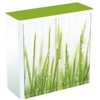 Rollladenschrank Motiv grüne Grashalme grün, easyOffice, 110x104x41.5 cm