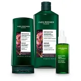 Yves Rocher Balance Scalp Serum ausgleichendes Kopfhautserum 50 ml