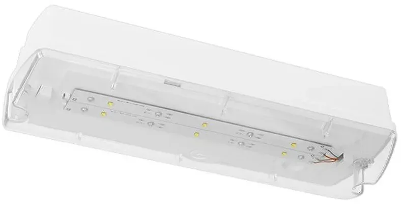 Fischer LED-Sicherheitsleuchte HAUE60I