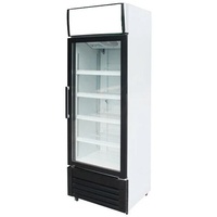Getränkekühlschrank Glastürkühlschrank Flaschenkühler 300 L. Glastür Kühlschrank