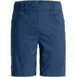 Ortovox Herren Affinity Shorts (Größe L, blau)