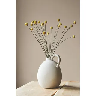 2,5 l No. 35 wiege des aromas