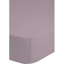 Good Morning Spannbettlaken Renforcé 100 x 200 cm rosa