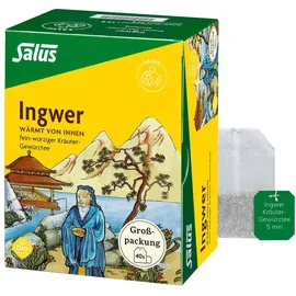 SALUS Ingwer Kräuter-Gewürztee-Mischung Teebeutel 40 St. 1,5 g