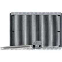 mahle AE 169 000P