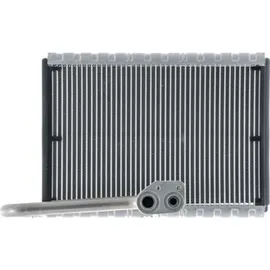 mahle AE 169 000P