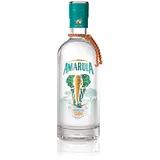 Amarula Gin (1 x 0.7 l)