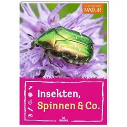 MOSES. VERLAG 100781 Expedition Natur: Insekten, Spinnen & Co.