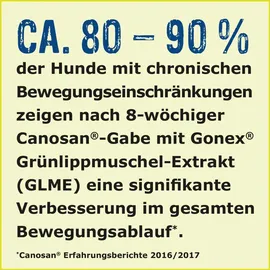 Boehringer Ingelheim Canosan Kautabletten für Hunde 30 St.