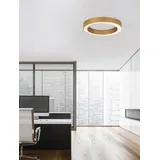 Nova Luce Deckenleuchte MORBIDO LED Messing Gold