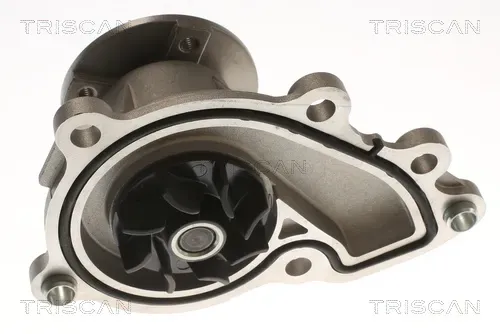 TRISCAN Wasserpumpe 860043032 für KIA