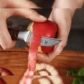 Wakoli EDIB Damast Schälmesser Gemüsemesser 6 cm Klinge aus echtem Damaststahl mit Pakkaholzgriff