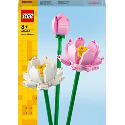 Lotusblumen