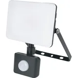 Müller-Licht 21600072 LED-Außenstrahler mit Bewegungsmelder 20W Leuchtfarben: Neutralweiß