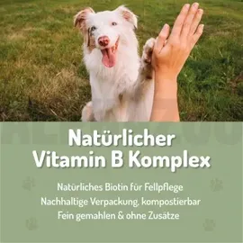 alphazoo Bierhefe Pulver für Hunde 250 g