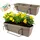 GarPet Blumenkasten 60 x 16 x 16 cm Schwarz