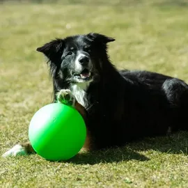 Procyon Treibball Größe S - extra stabil - gelb