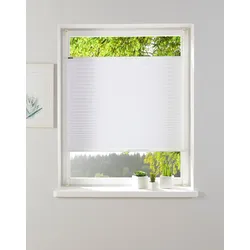 Plissee »KATIA«, Lichtschutz, ohne Bohren, verspannt, Fixmaß, Crushed-Optik, uni, monochrom, basic, Klemmträger, 59505934-3 weiß