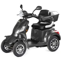 VELECO Faster Elektromobil 4-Rad Seniorenmobil grau