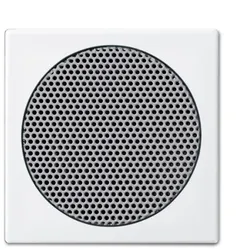 Busch-Jaeger 8253-914 Zentralscheibe