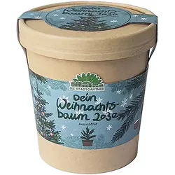 Anzuchtset "Dein Weihnachtsbaum 2030"