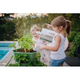 Gusta Garden Paul Potato 44 x 44 x 65 cm Dunkelgrün