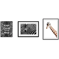 queence Bild »Animals«, Abstrakt-Schriftzug-Sprüche & Texte-Motivationsbilder-Giraffe-Giraffen-Giraffen Bilder, (3 St.), gerahmt queence Farbe Rahmen: schwarz + Farbe Bild(er): bunt