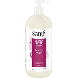Sante Glossy Shine Shampoo 950 ml