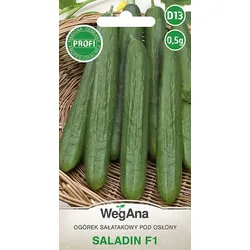 Saladin F1 Salatgurke 0,5g Gemüsesamen - WegAna